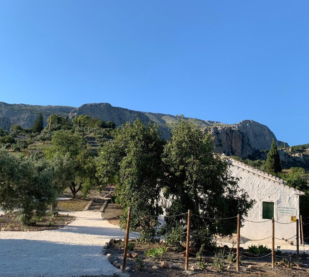 Casa Anita - La Almona Chica El Chorro Exterior foto